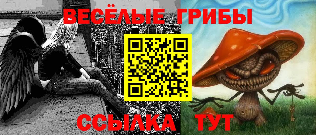 Галлюциногенные грибы MAGIC MUSHROOMS Жигулёвск